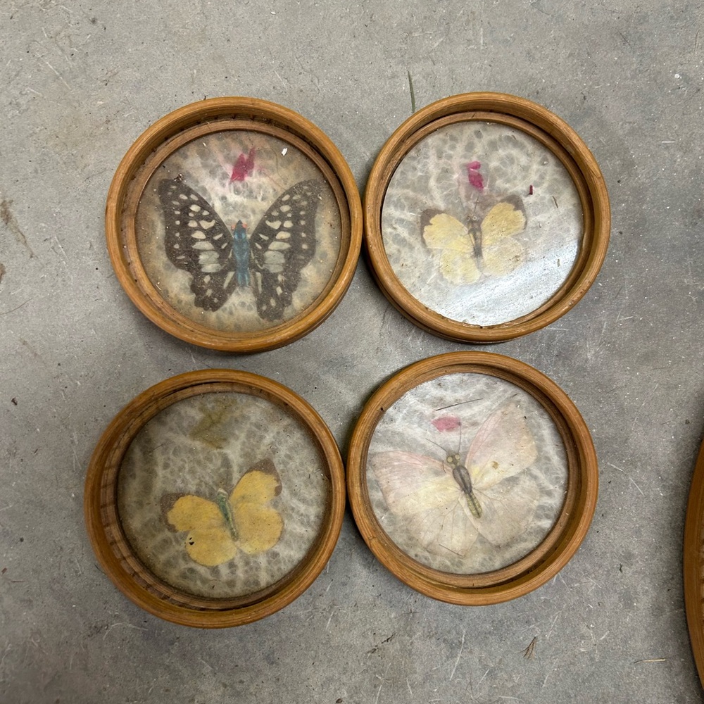 Vintage 1970s Pressed Butterfly BambooTray & Coasters set 5 pieces - Picture 3 of 7